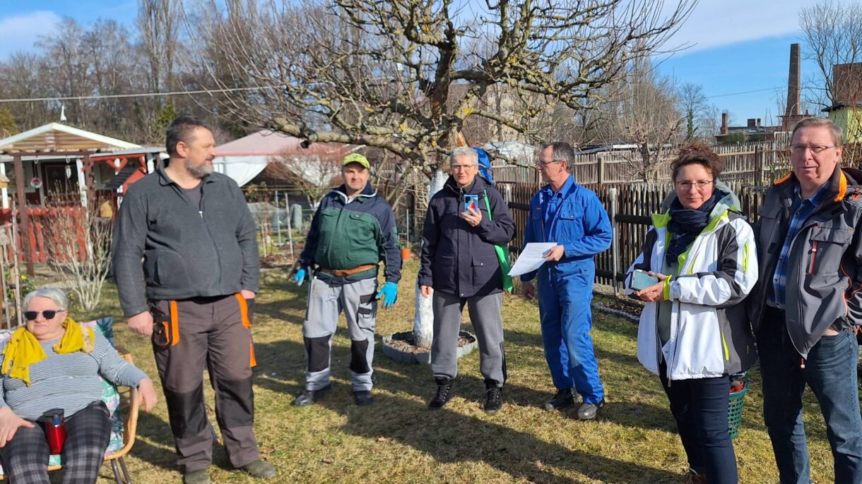 Altbaumschnitt Fachberater Sachses Ruh