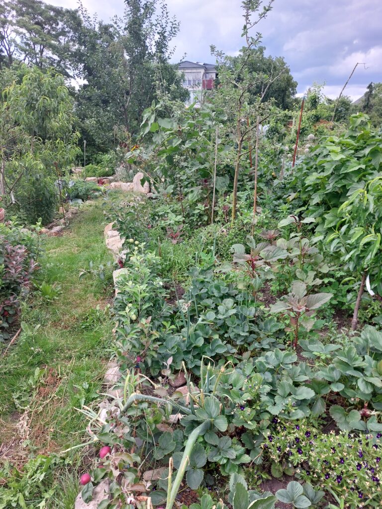 Naturnah Kleingarten Gärtnern Artenvielfalt