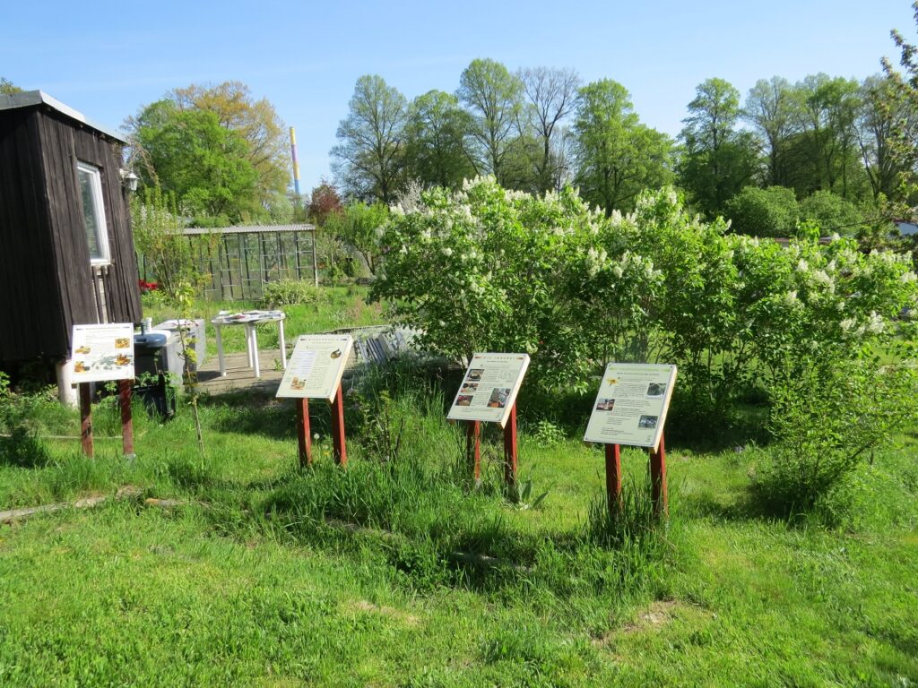 Bienen