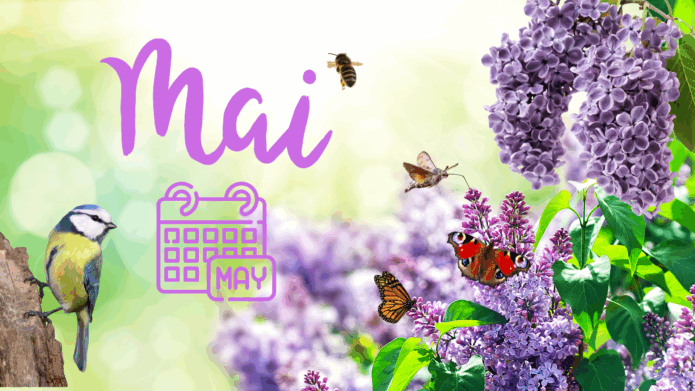 Monat Mai