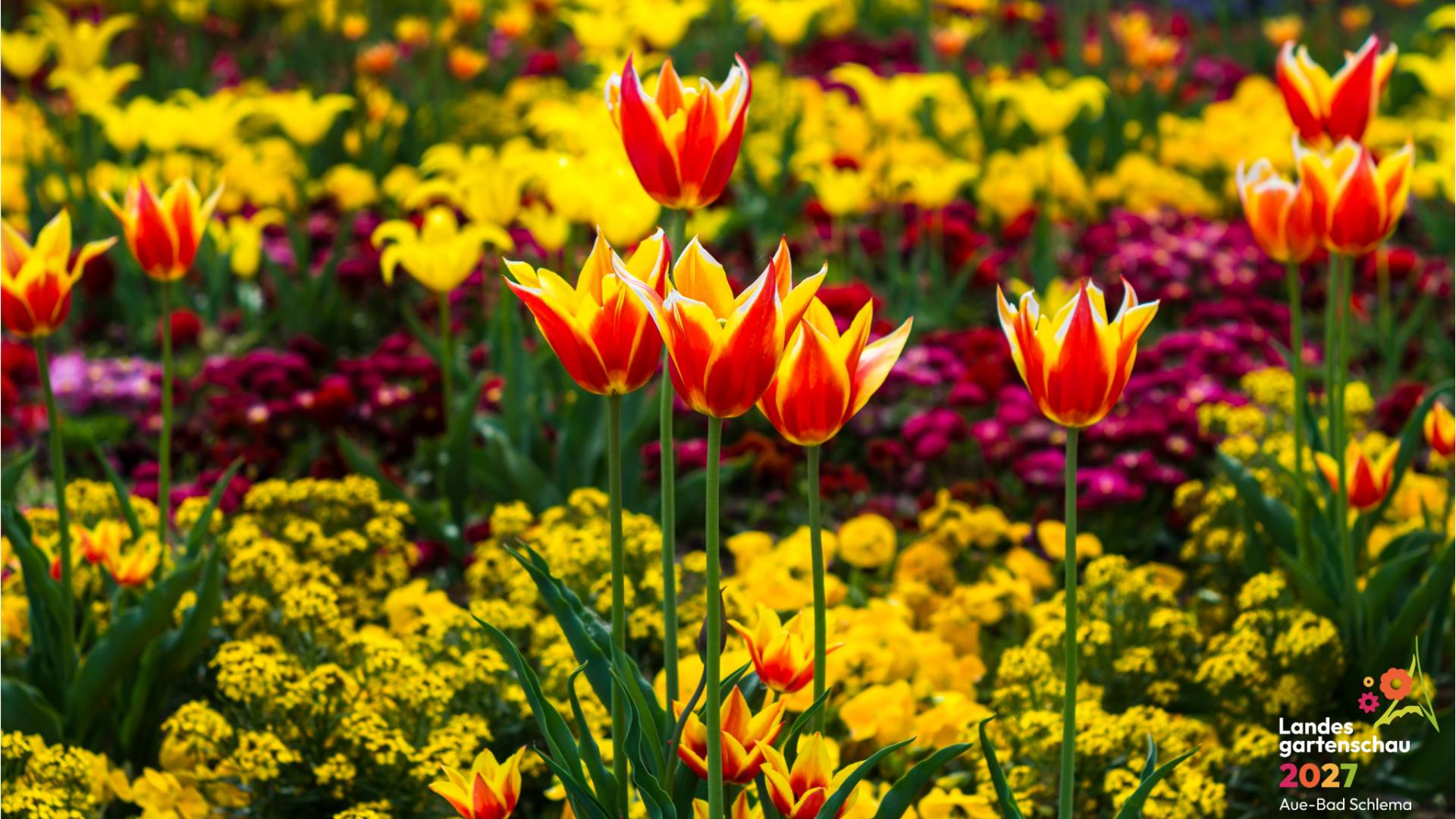 Landesgartenschau Aue Bad Schlema