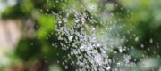 Artenvielfalt Wasser