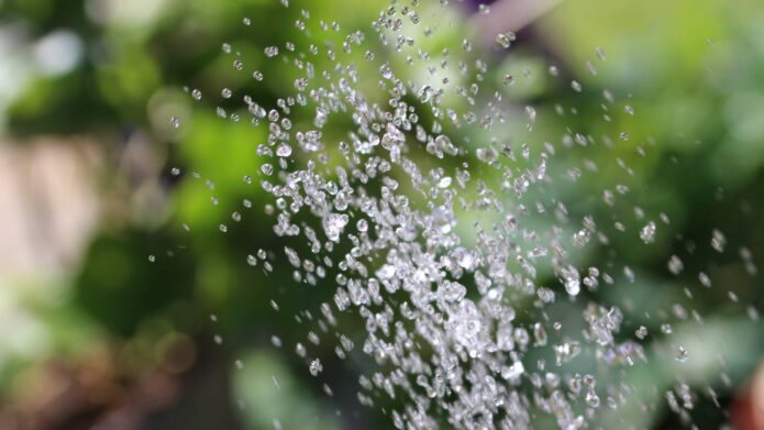Artenvielfalt Wasser