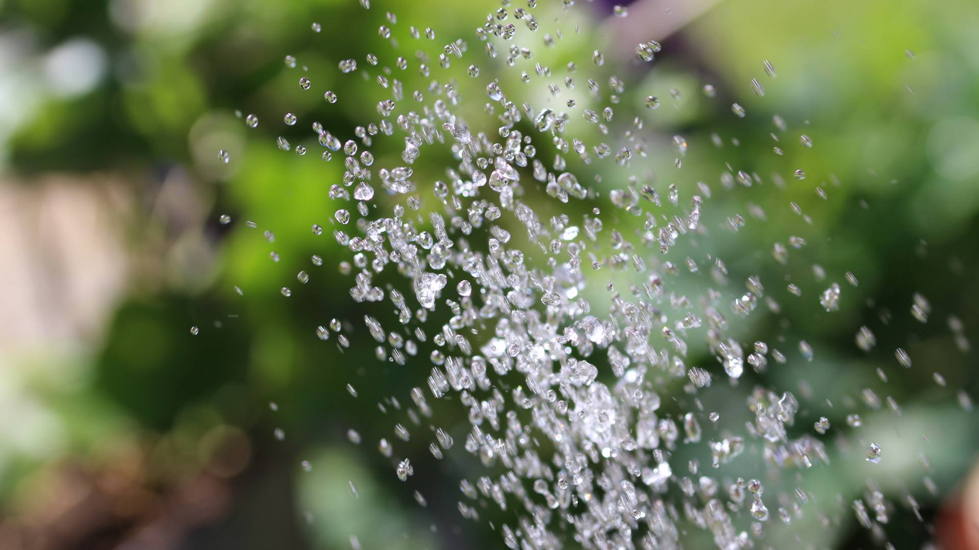 Artenvielfalt Wasser