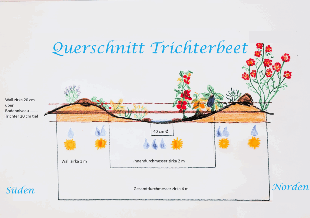 Kraterbeet Trichterbeet