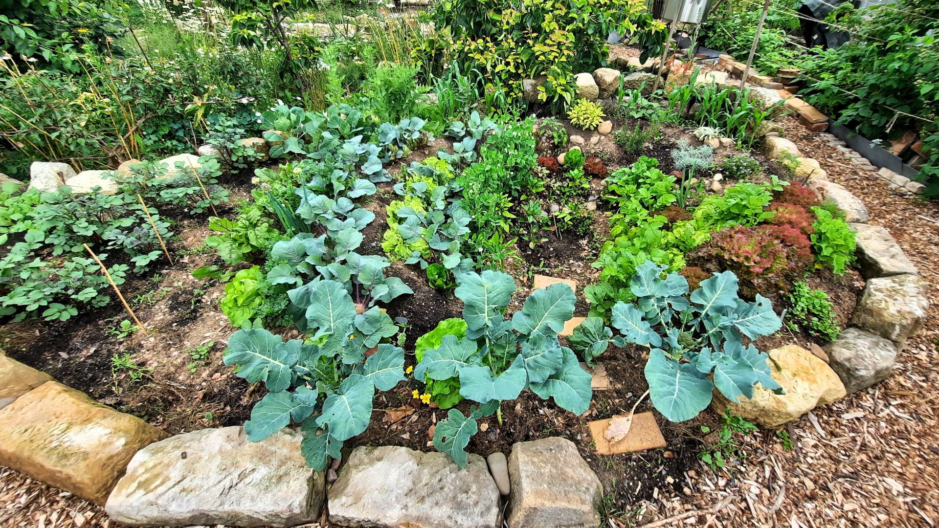 Trichterbeet Kraterbeet