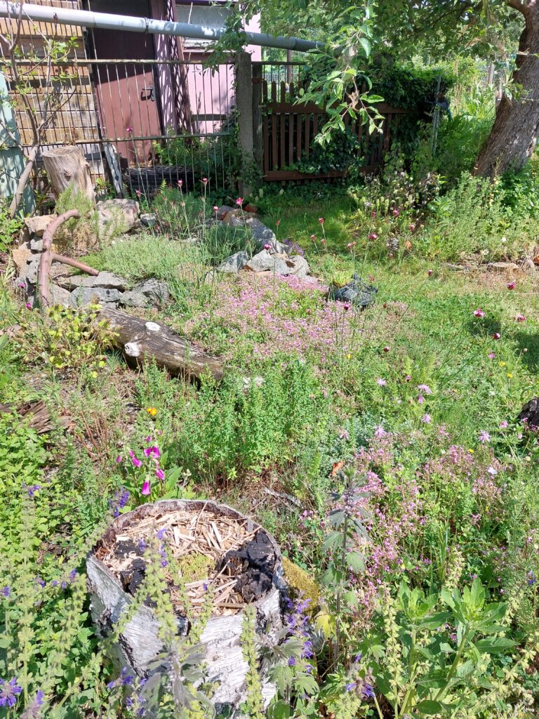 Naturnah Kleingarten Gärten Artenvielfalt