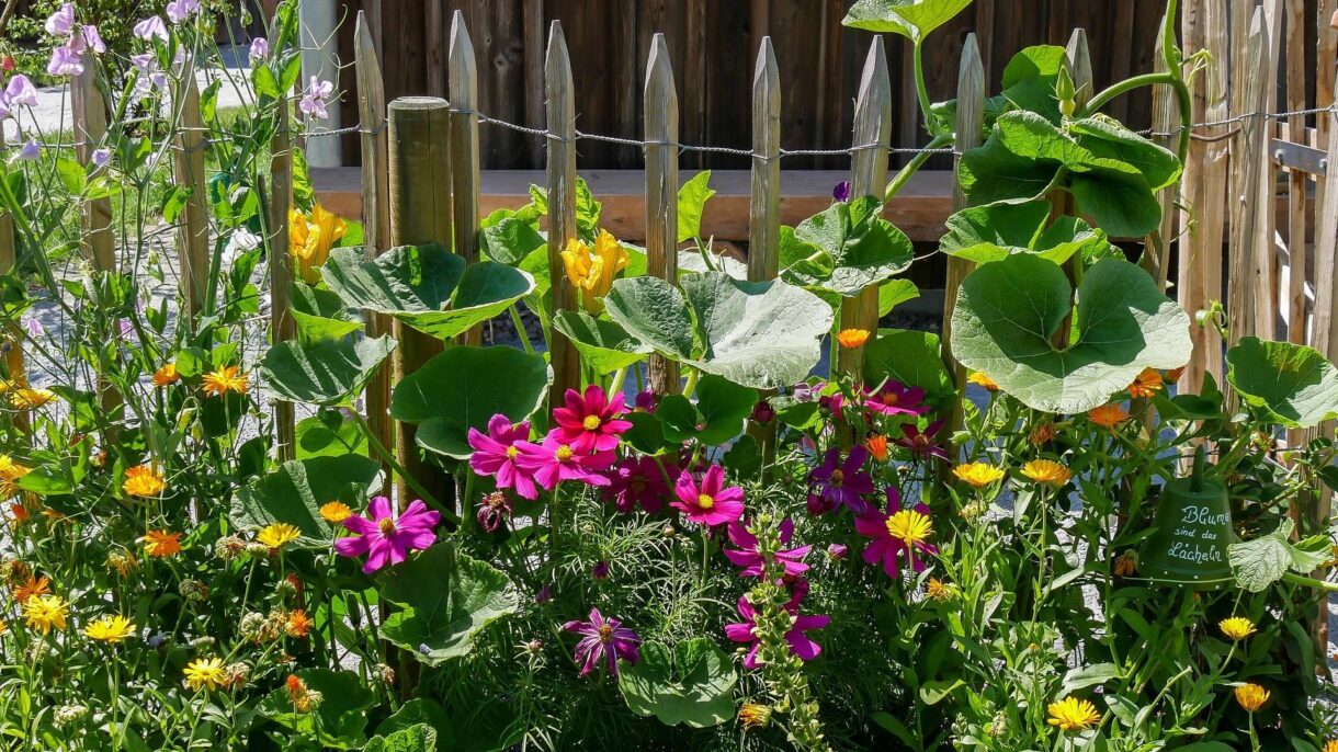 Naturnah Garten Kleingarten Artenschutz