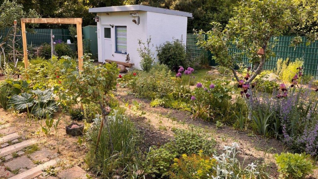 Garten Transformation Neu alt