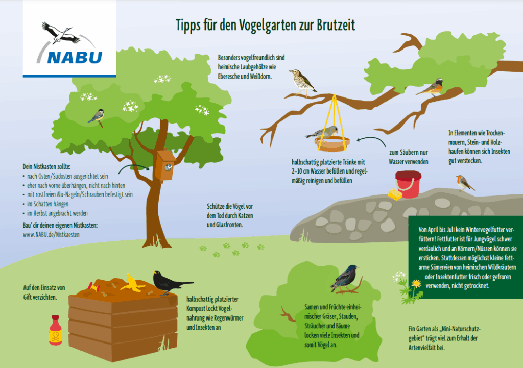 Stunde der Gartenvögel NABU