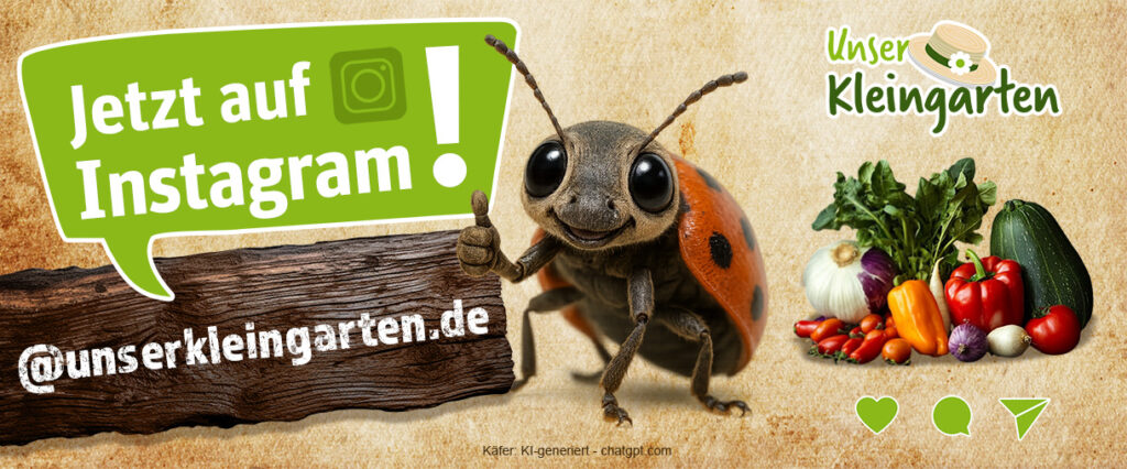 Unser Kleingarten - Folge uns auch auf Instagram!