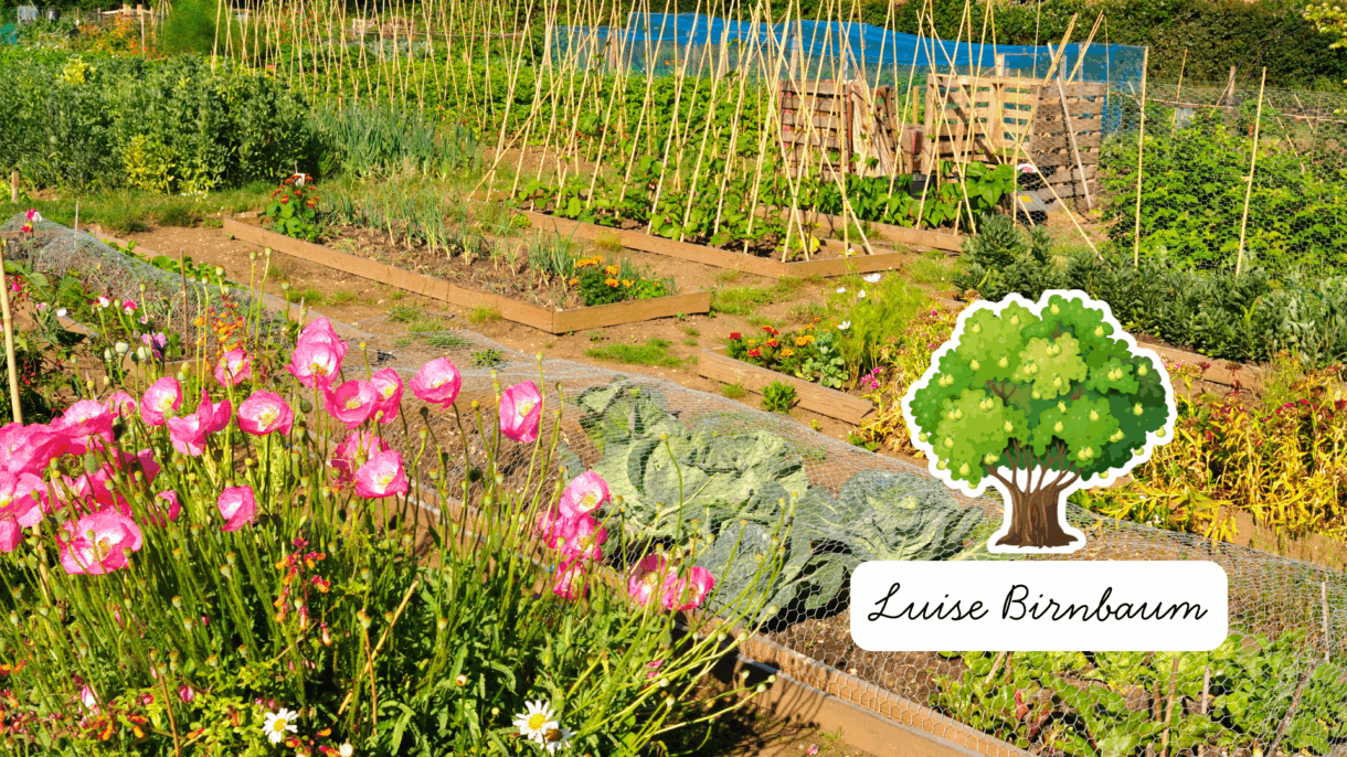 Luises Altes Gartenwissen