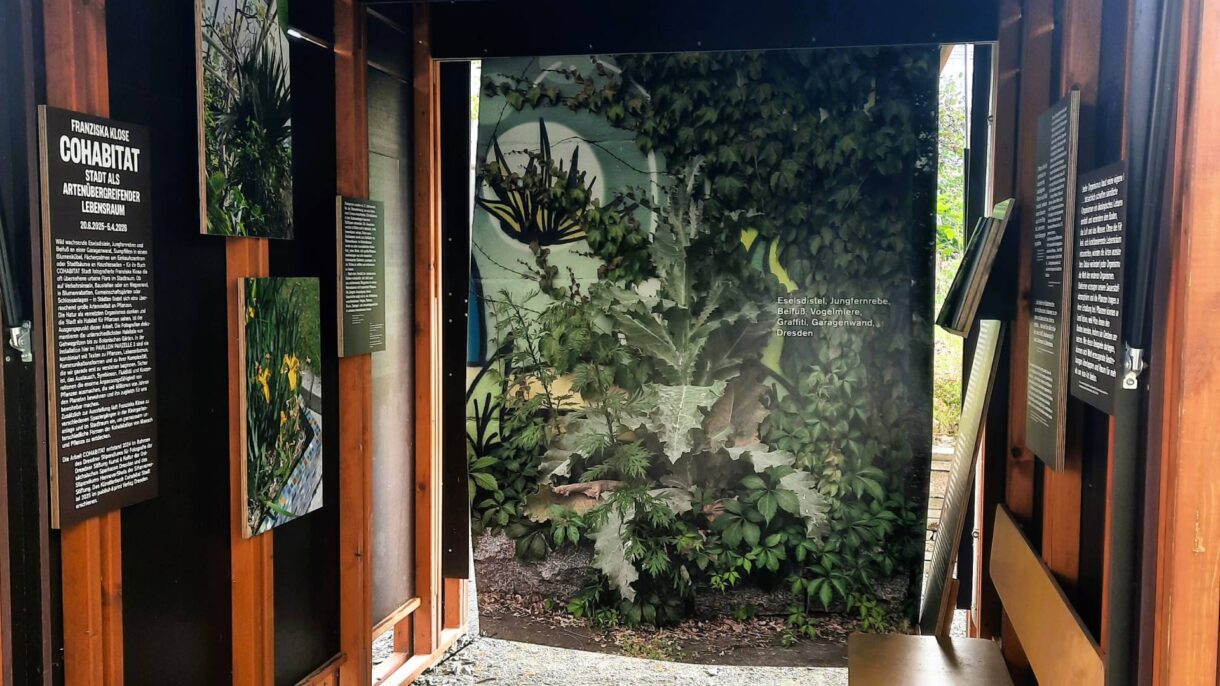 Cohabitat Flora I Dresden