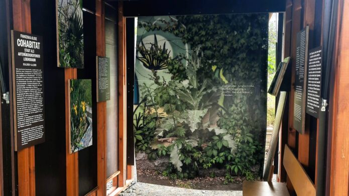 Cohabitat Flora I Dresden
