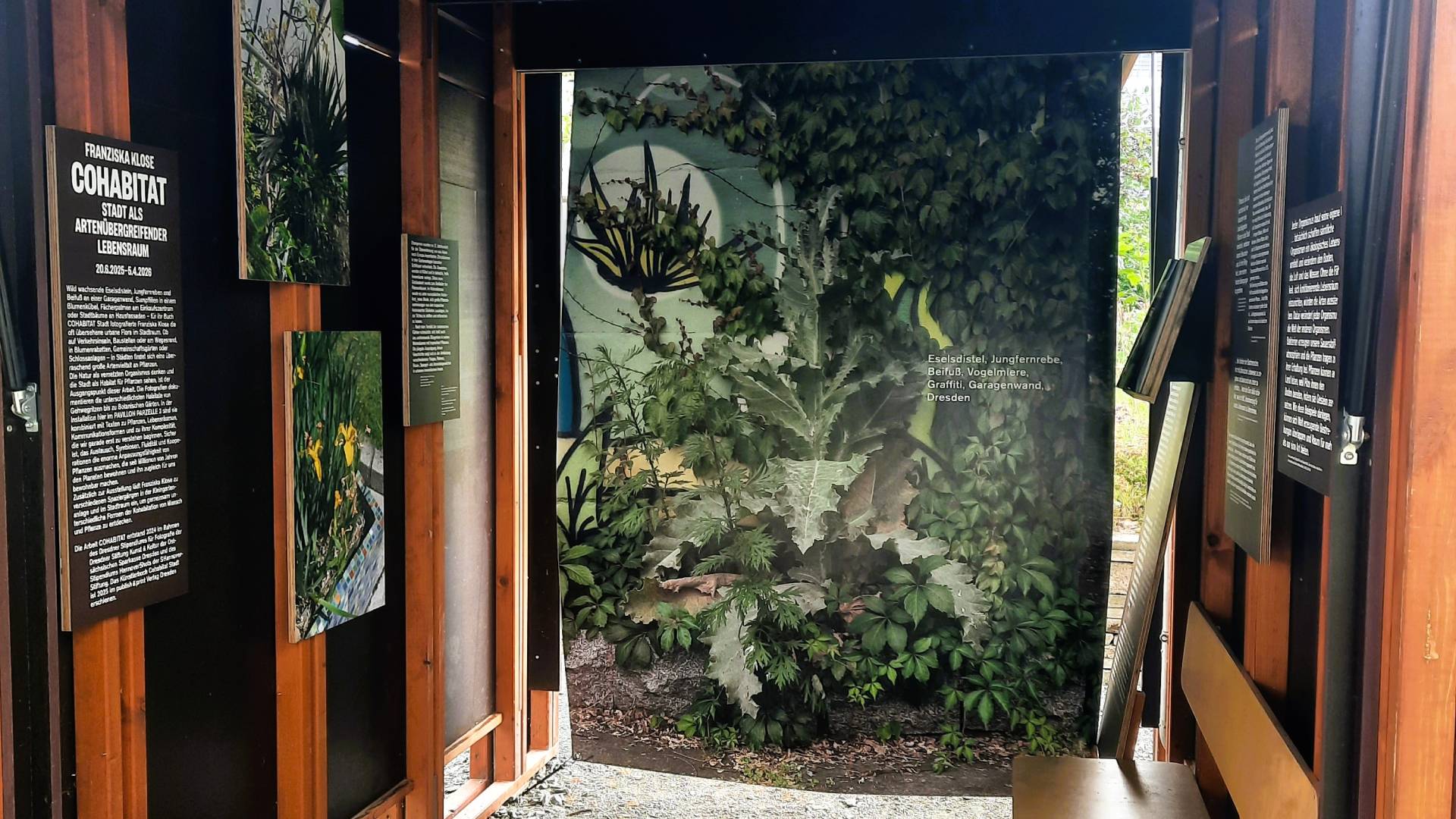 Cohabitat Flora I Dresden
