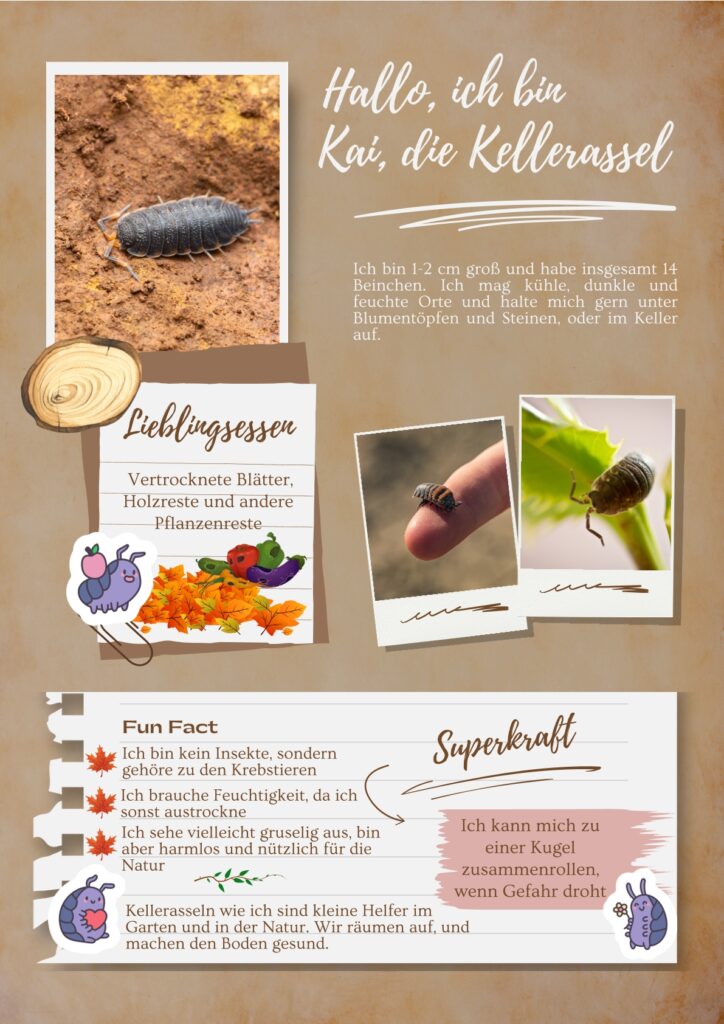 Kai Kellerassel Kinderspaß