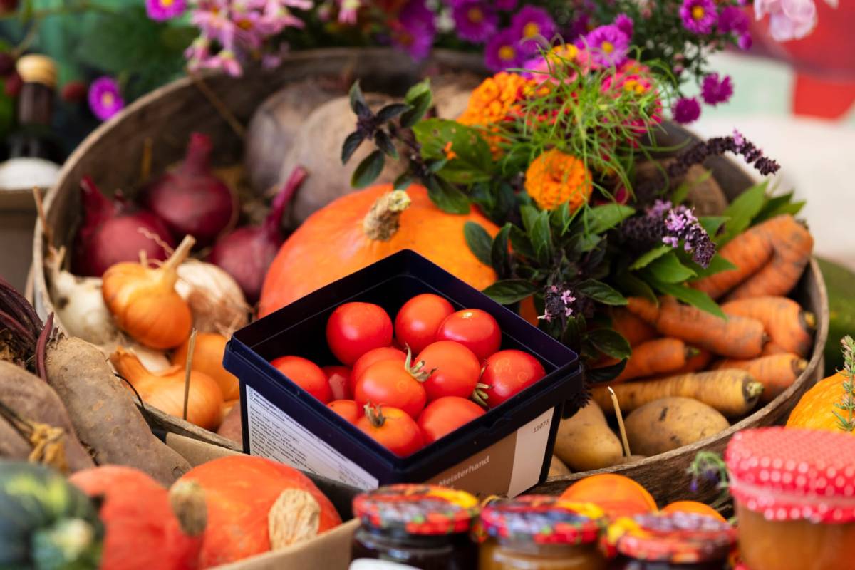 Tomaten, Kürbisse und Geerntes aus dem Garten