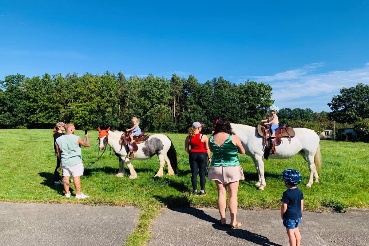 Kinder auf Ponys, die auf einer Wiese laufen