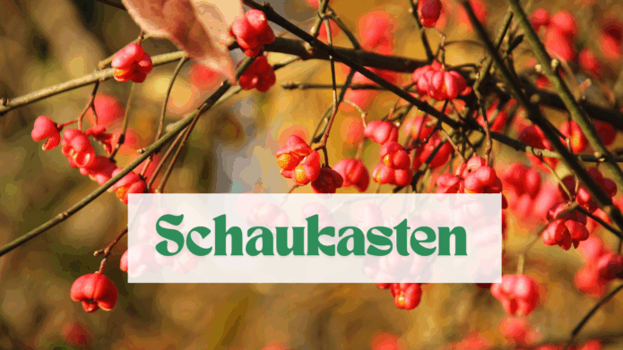 Rote Beeren an einem Ast. Dazu der Schriftzug Schaukasten