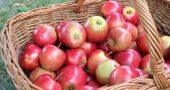 Apfel Äpfel Rezepte