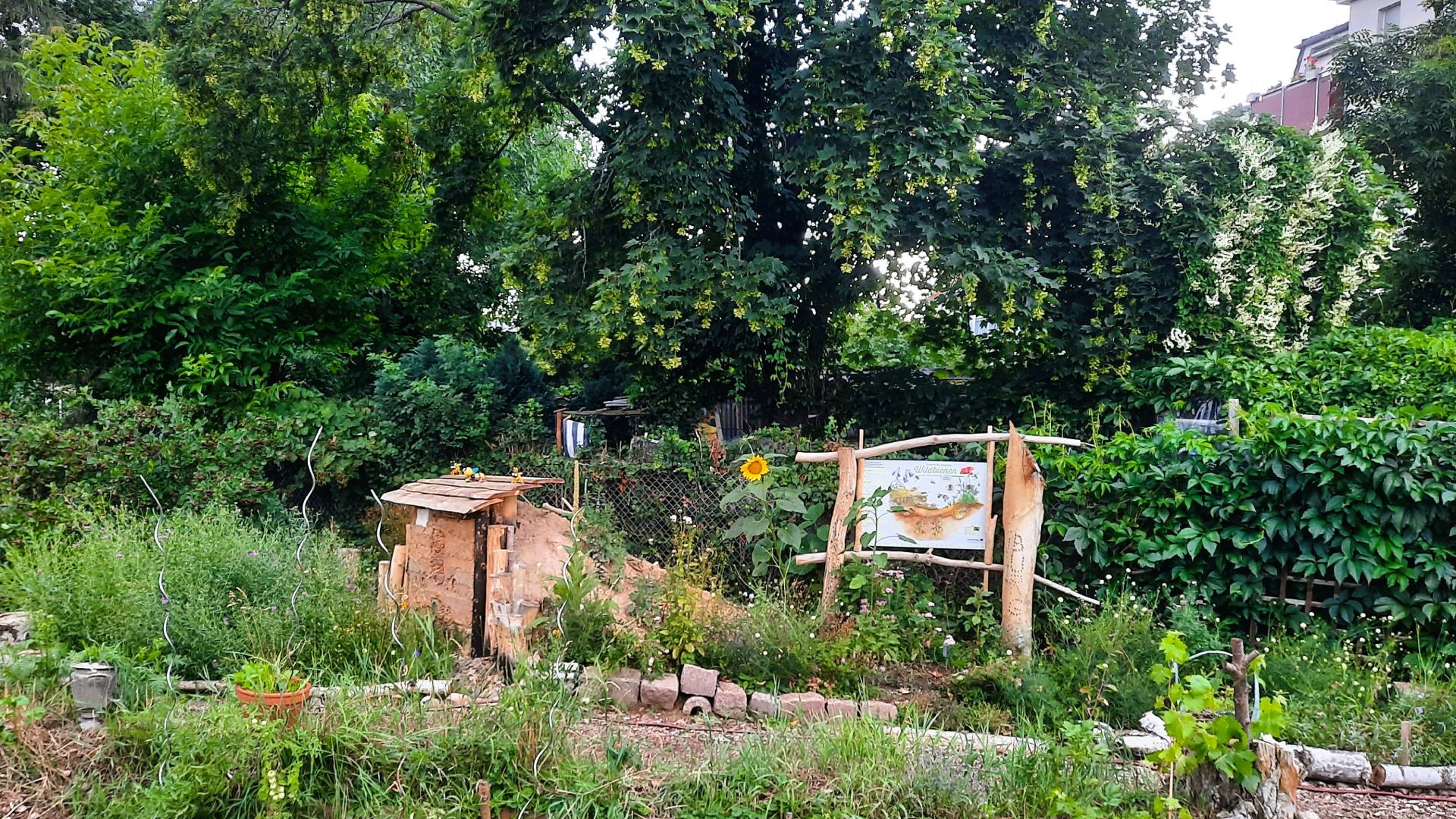 Die Bienenburg mit Infotafel im KGV Aronia