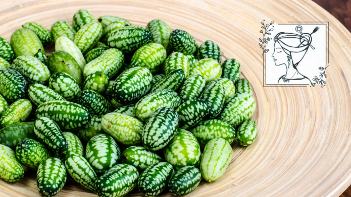 Mexikanische Minigurken