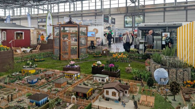 PXL_20260204_103230513.MP