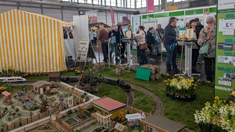 PXL_20260204_103238647.MP