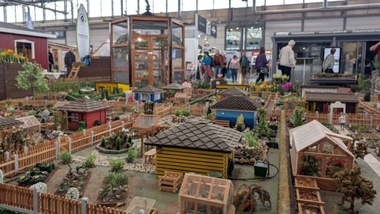 PXL_20260204_103248368.MP