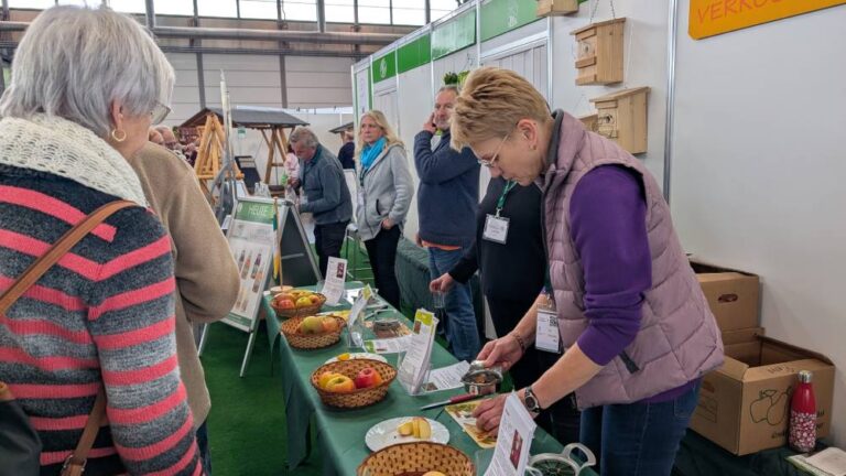 PXL_20260204_103315148.MP