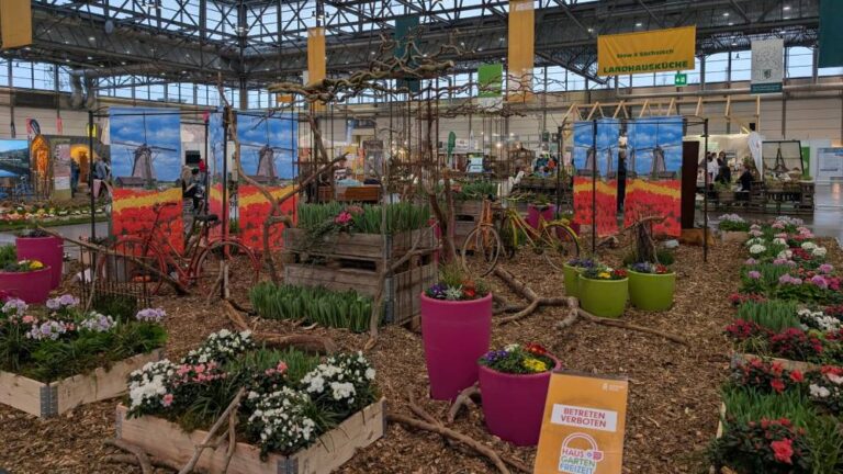 PXL_20260204_152607711