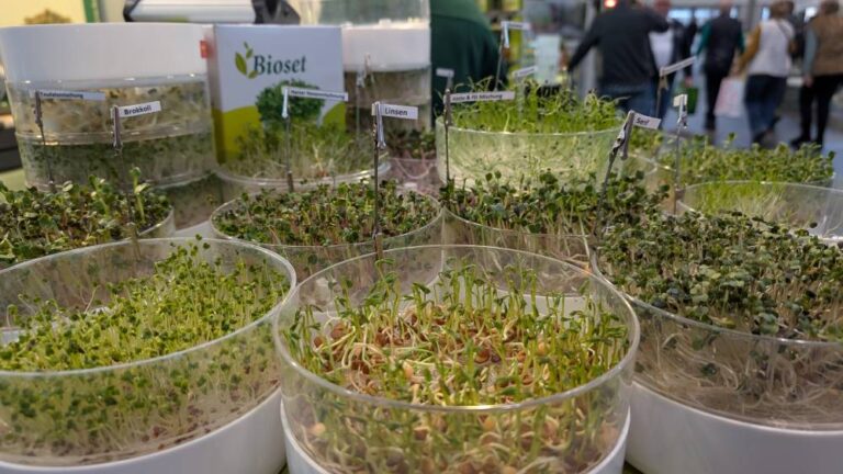 PXL_20260204_152644853