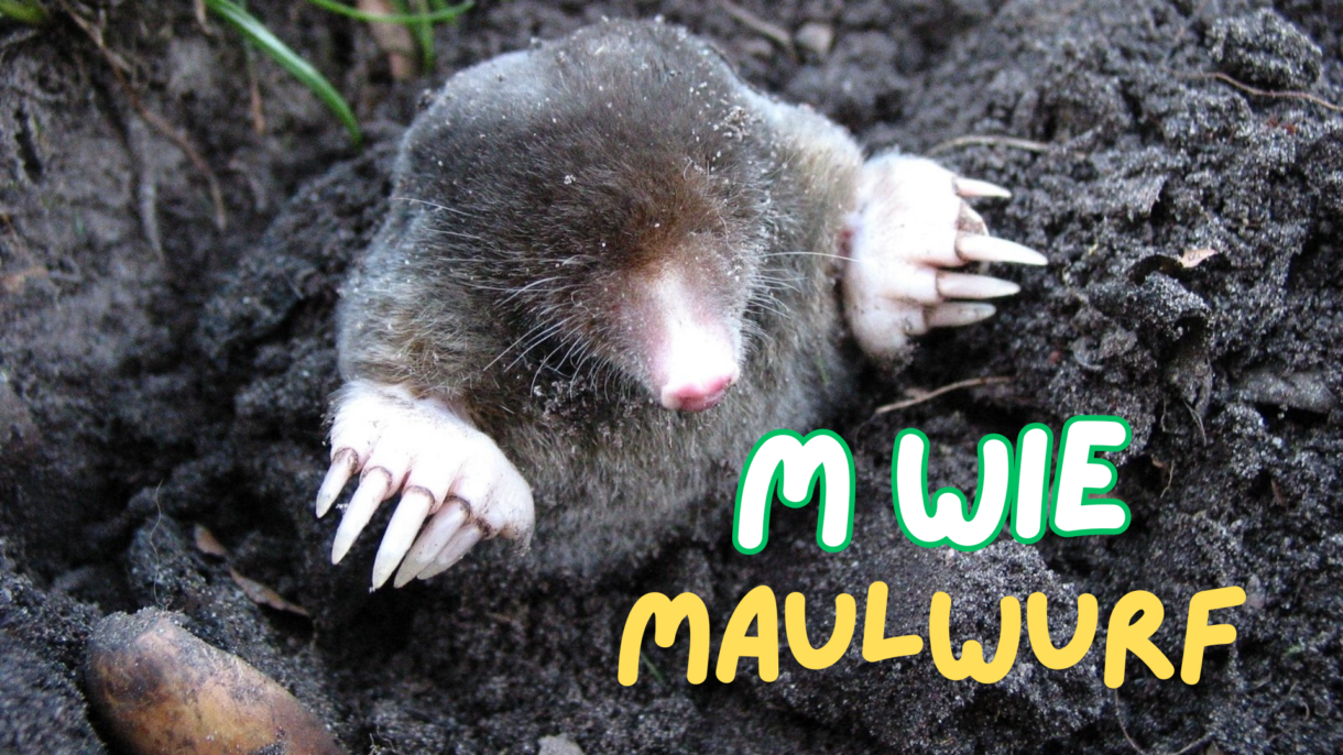 Maulwurf im Erdloch