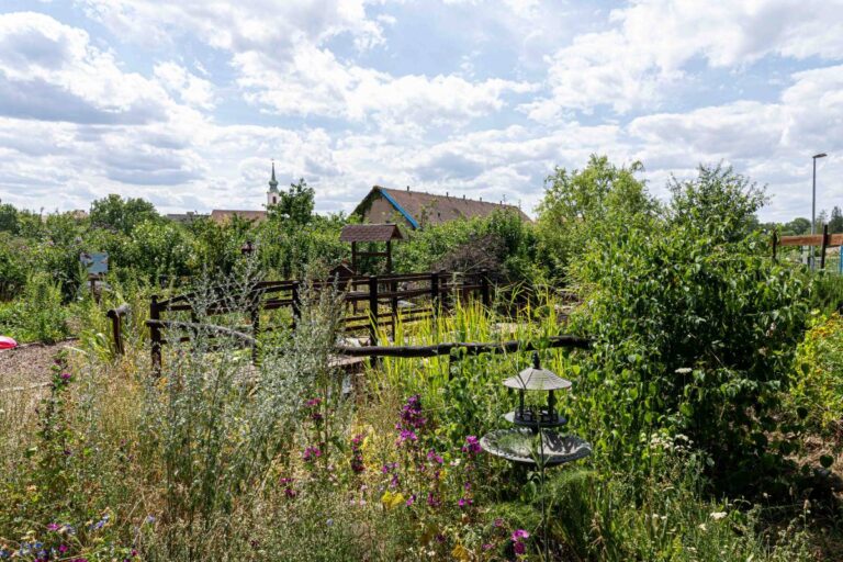 Garten der Sinne 5