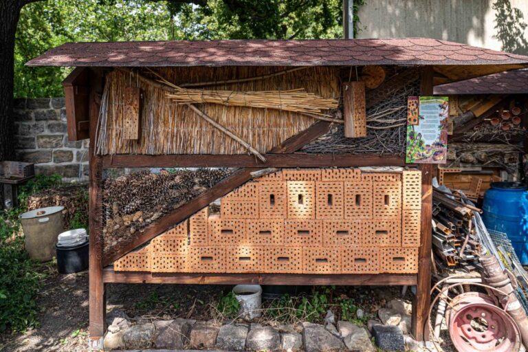 Garten der Sinne 6