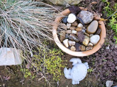 Tonschale als Wassertränke