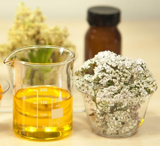 Mädesüß neben einem Becher Öl und vor einer Arzeniflasche